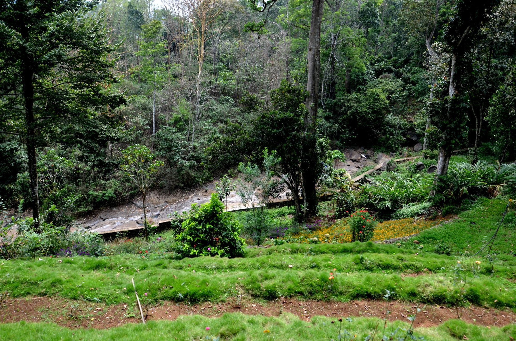 Hotel Bamboo Dale Munnar Exteriér fotografie